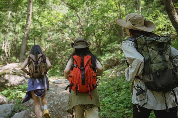 正规配资之家 这种运动, 可能比跑步还伤膝!